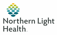 Northern Light Eastern Maine Medical Center Logo Northern Light Eastern Maine Medical Center Logo